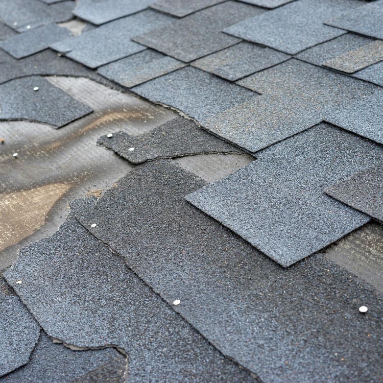 Roofing in Timber Pines, FL Roofing in Timber Pines, FL