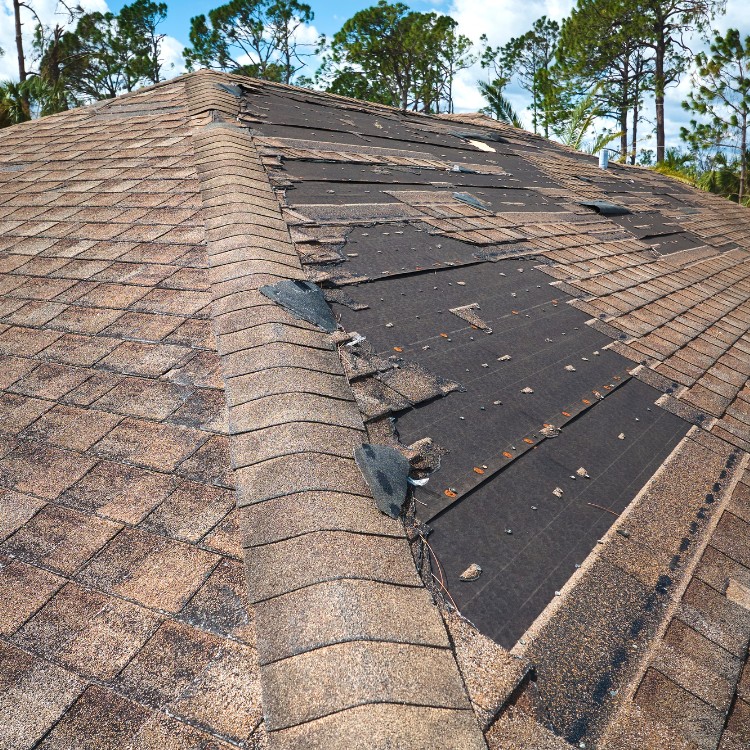 Roofing in Timber Pines, FL Roofing in Timber Pines, FL