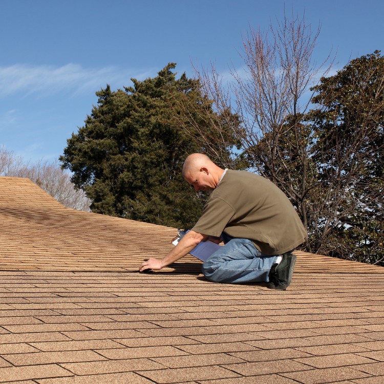 Roofing in Timber Pines, FL