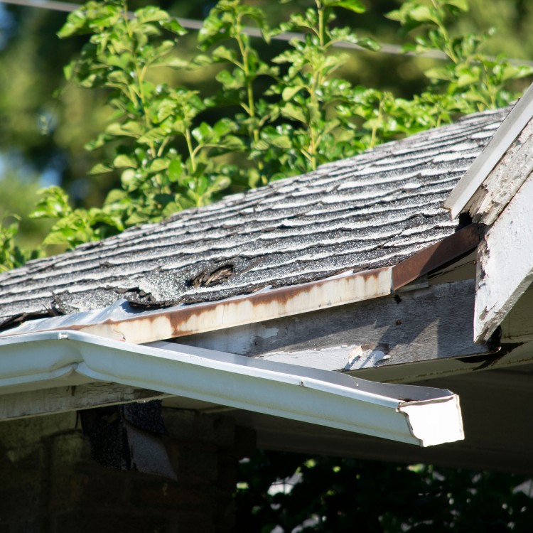 Roofing in Timber Pines, FL