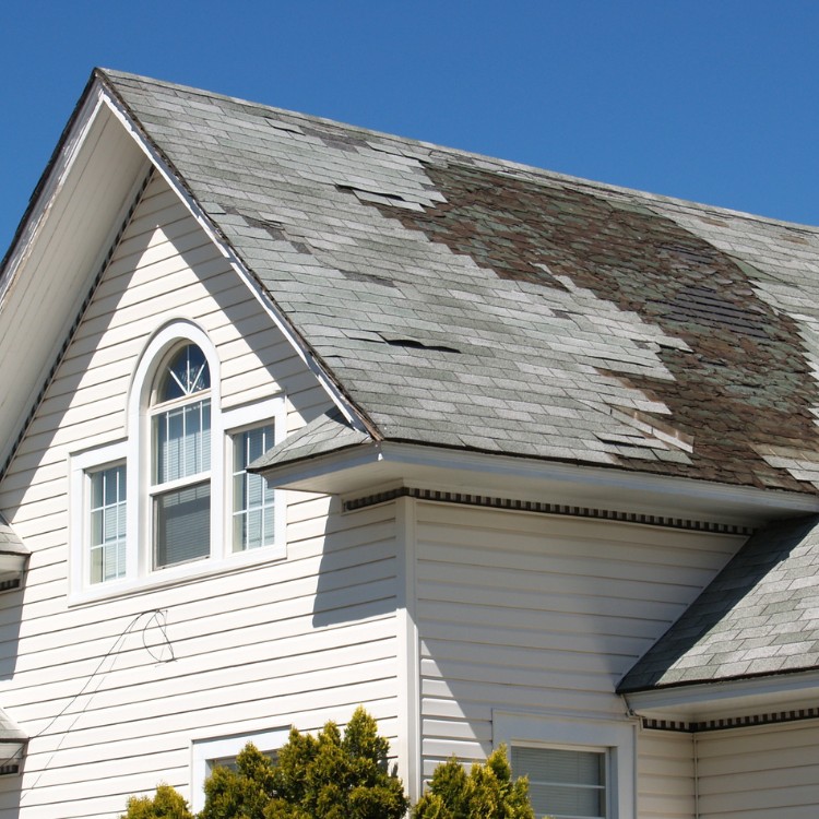 Roofing in Timber Pines, FL