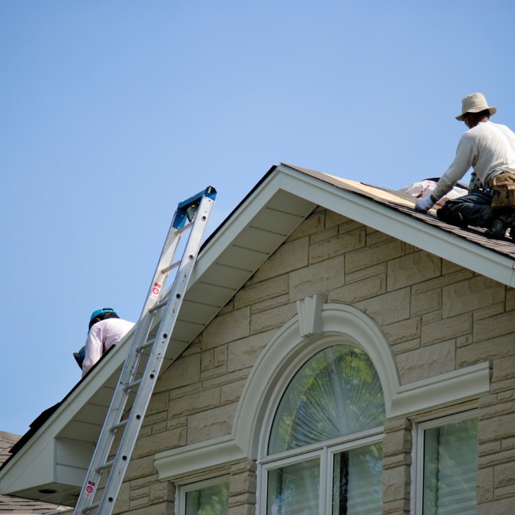 Roofing in Timber Pines, FL