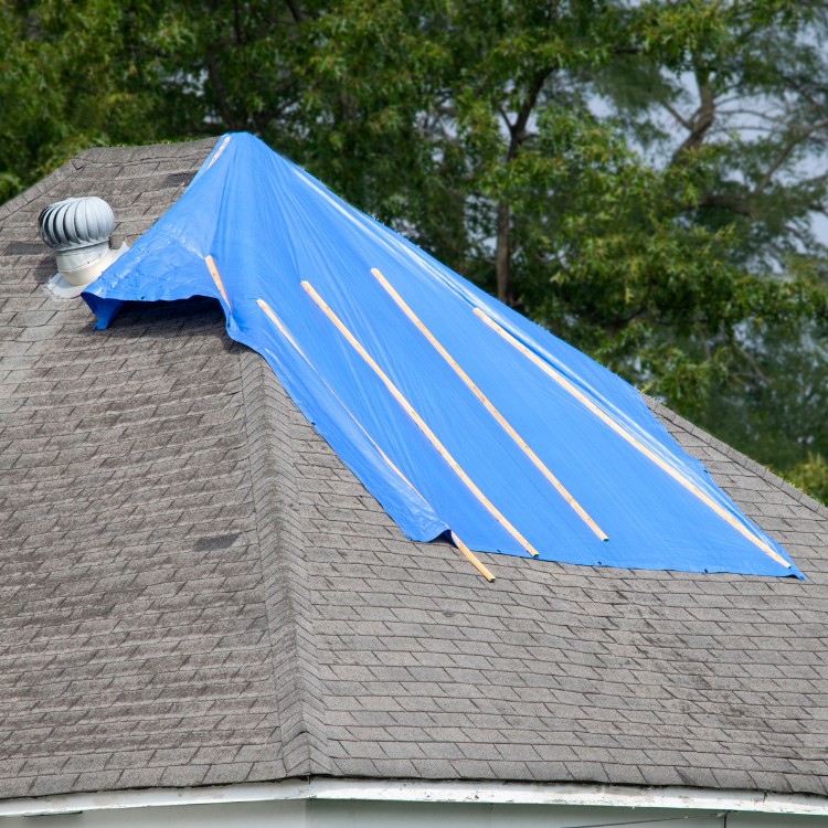 Roofing in Timber Pines, FL
